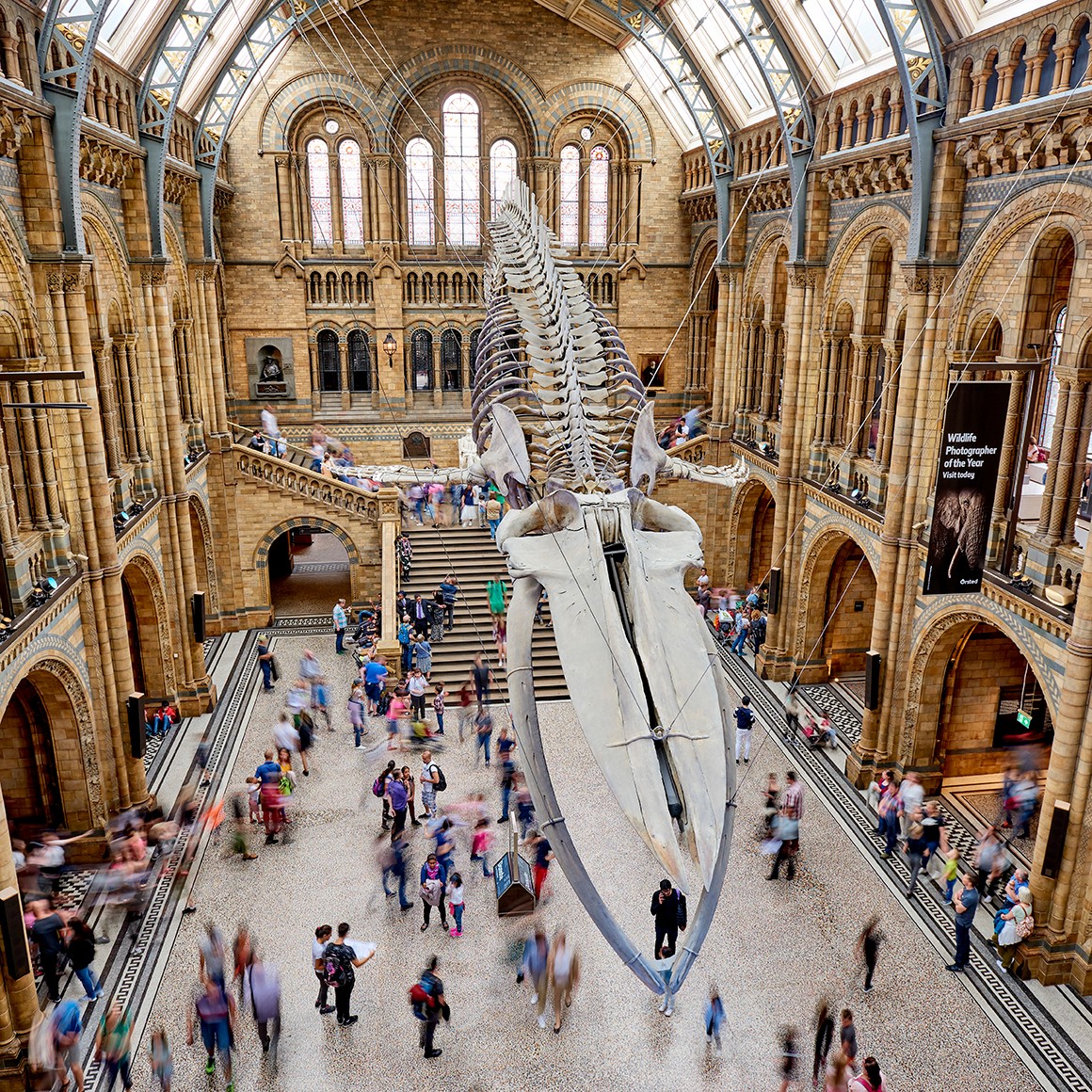 NHM_london